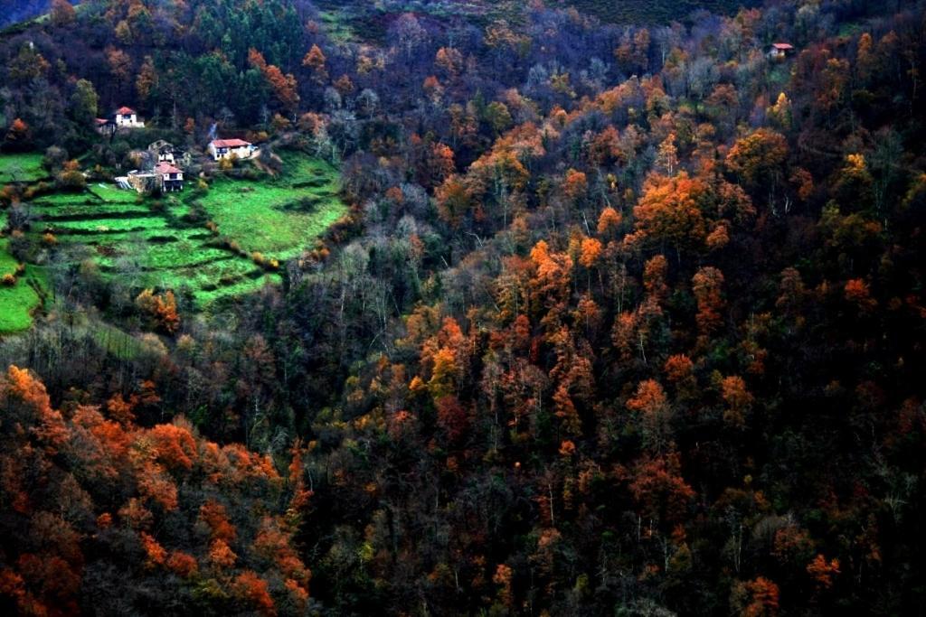 La Casona De Con Vendégház Mestas de Con Kültér fotó